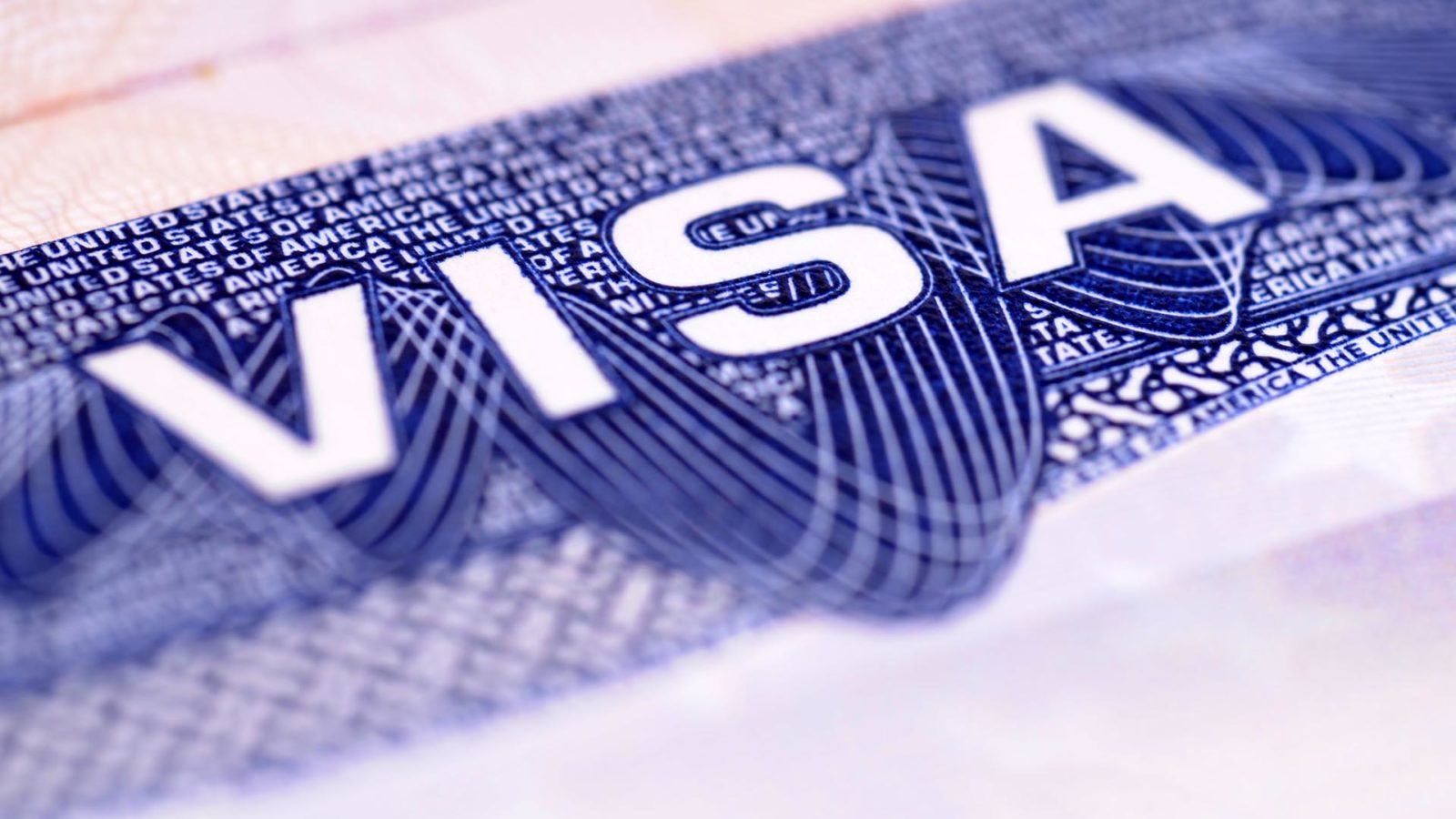 closeup of a visa document